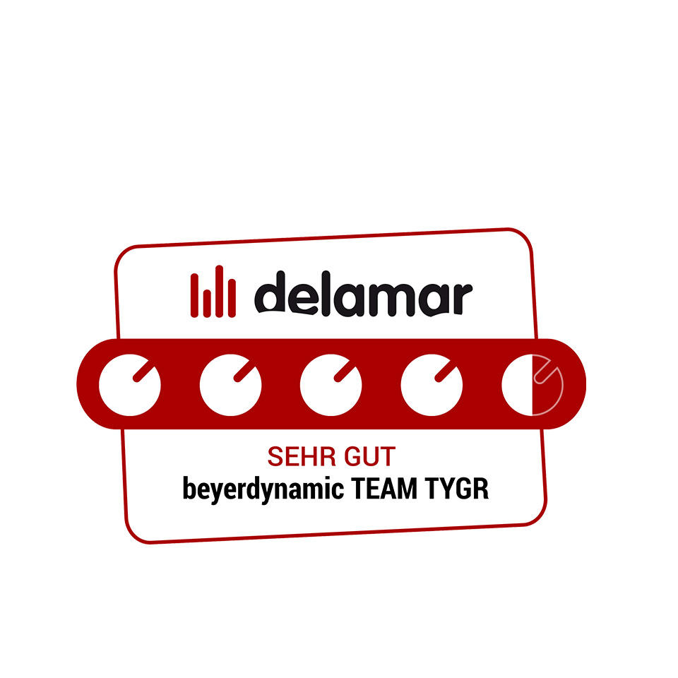 Delamar 2022 Team TYGR Award